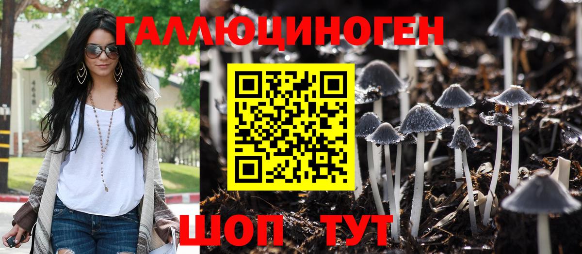 Галлюциногенные грибы мухоморы Муром