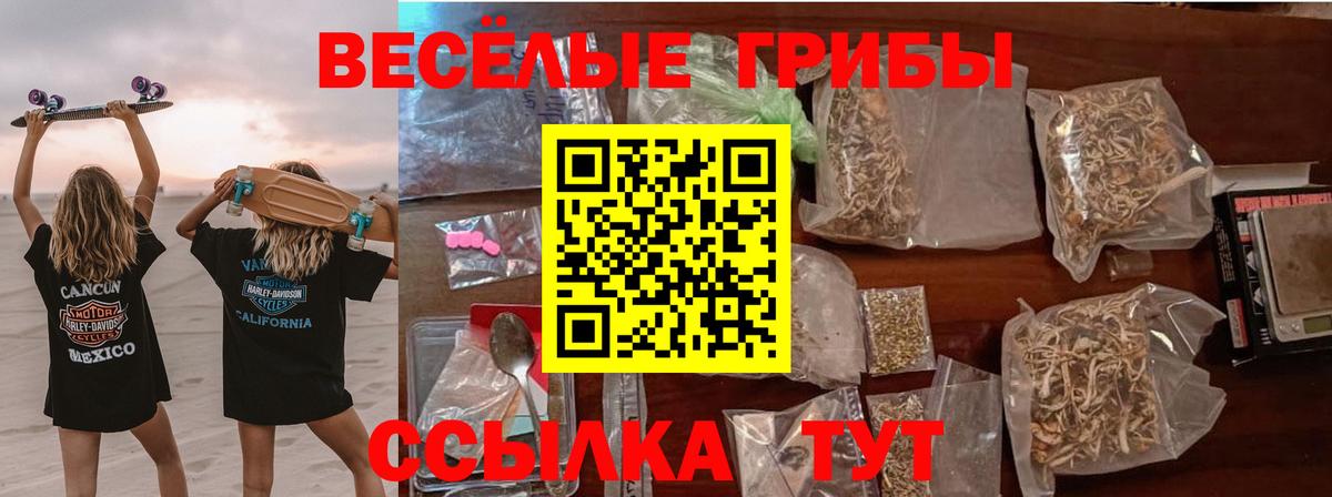 наркотики  Псилоцибиновые грибы Cubensis  Вход с VPN  Муром 